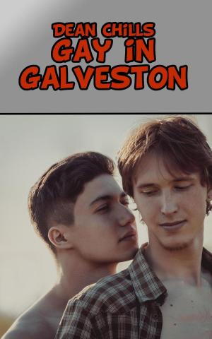Cover of the book Gay in Galveston by Dean Chills
