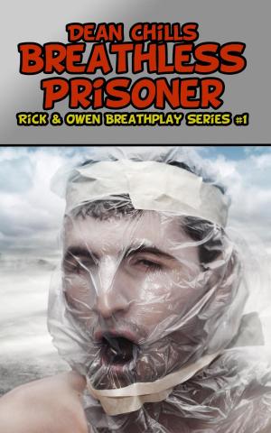 Book cover of Breathless Prisoner