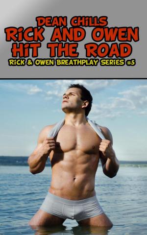 Cover of the book Rick and Owen Hit The Road by H. K. Kiting