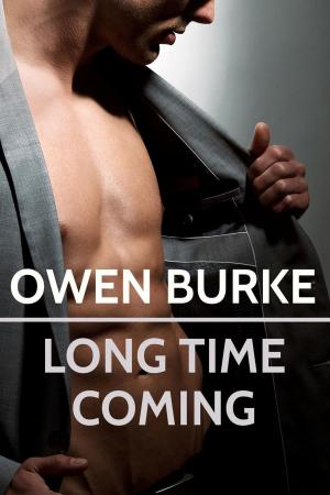 Cover of Long Time Coming: Gay Erotica