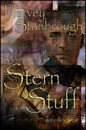Book cover of Stern Stuff