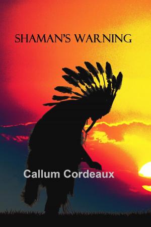 Cover of the book Shaman's Warning by S. A. Barton
