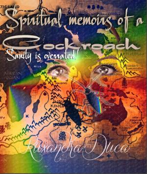 Cover of the book Spiritual memoirs of a Cockroach by Lexy Hell, Christiane Hagn
