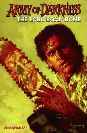 Book cover of Army of Darkness: The Long Road Home