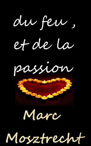 Cover of the book Du Feu Et De La Passion by Angelicka Wallows