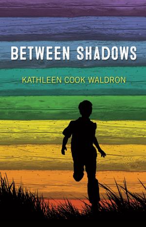 Cover of the book Between Shadows by Judith Silverthorne