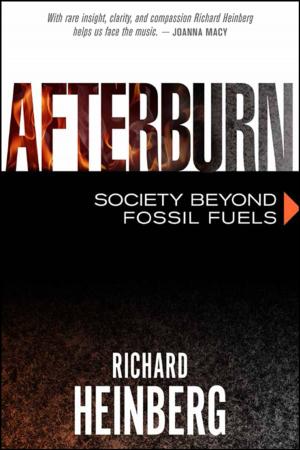 Cover of the book Afterburn by Satish Kumar