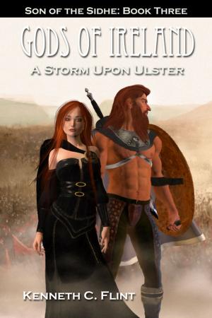 Cover of the book A Storm Upon Ulster by Bill Parker