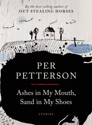 Book cover of Ashes in My Mouth, Sand in My Shoes