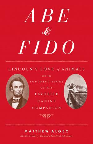 Cover of the book Abe & Fido by Simon Quellen Field