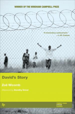 Cover of the book David's Story by Breanne Fahs