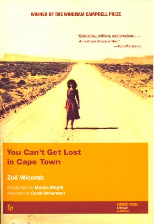 Cover of the book You Can't Get Lost in Cape Town by Cristina Rivera Garza