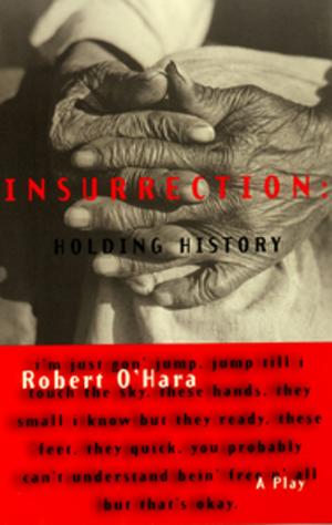 bigCover of the book Insurrection: Holding History by 