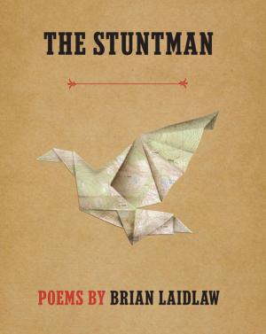 Cover of the book The Stuntman by Deni Ellis Bechard