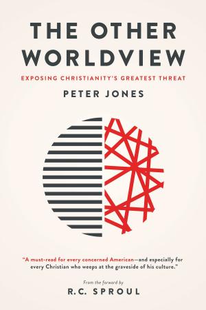 Cover of the book The Other Worldview by Glenn C. Daman