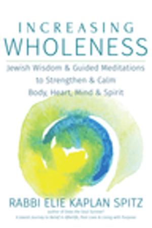 Cover of the book Increasing Wholeness by Rabbi Jill Jacobs