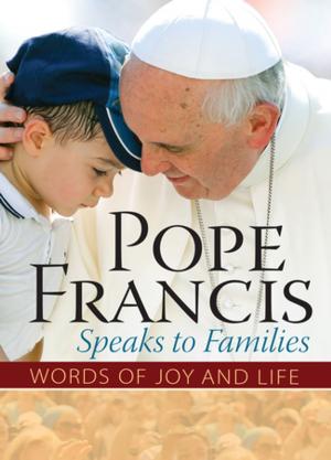 Cover of the book Pope Francis Speaks to Families by Pope Benedict XVI