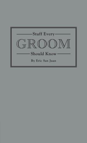 Cover of the book Stuff Every Groom Should Know by Robert Schnakenberg