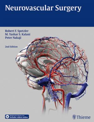 Cover of the book Neurovascular Surgery by 