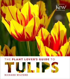 Cover of the book The Plant Lover's Guide to Tulips by Sarah Berringer Bader