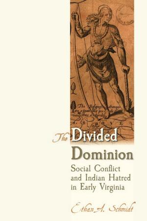 Cover of the book The Divided Dominion by Jack Christian