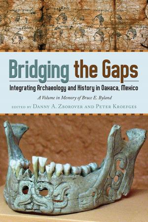 Cover of the book Bridging the Gaps by Jacques Galinier, Antoinette Molinié
