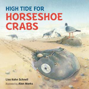 Cover of the book High Tide for Horseshoe Crabs by Cindy Neuschwander