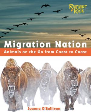 Cover of the book Migration Nation (National Wildlife Federation) by Jerry Pallotta