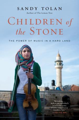Book cover of Children of the Stone
