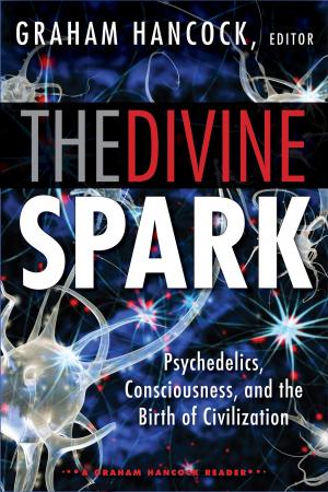 Cover of the book The Divine Spark: A Graham Hancock Reader by Judy Ford Ame Mahler Beanland