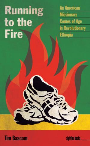 Cover of the book Running to the Fire by Maggie Messitt