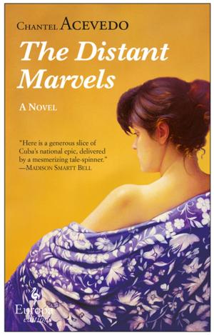 Cover of the book The Distant Marvels by Bill Clegg