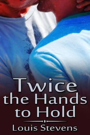 Cover of the book Twice the Hands to Hold by J.D. Walker