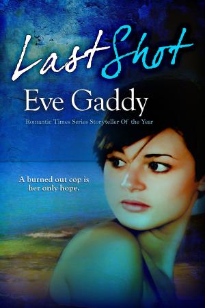 Cover of the book Last Shot by Susan Kearney
