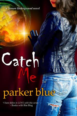 Cover of the book Catch Me by C. Hope Clark