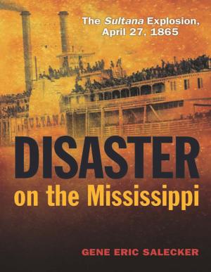 Cover of the book Disaster on the Mississippi by Robert Buderi