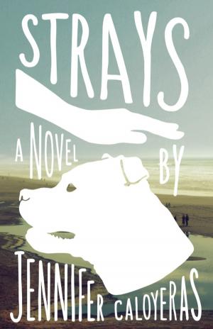 Cover of the book Strays: A Novel by Jean Ryan