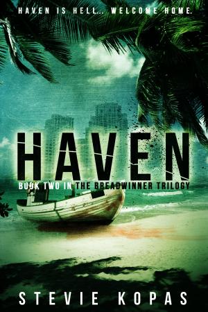 Cover of the book Haven by Don Viecelli