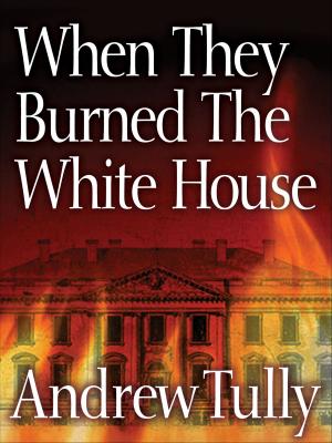 Book cover of When They Burned the White House