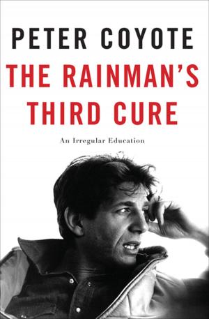 Book cover of The Rainman's Third Cure