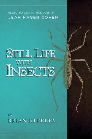 Book cover of Still Life with Insects