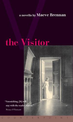 Cover of the book The Visitor by Janet Frame