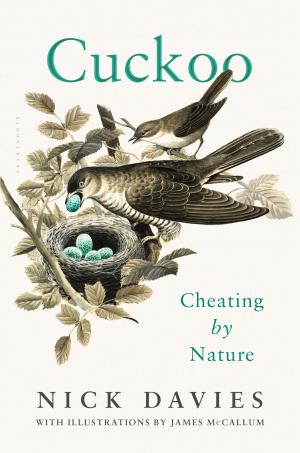 Cover of the book Cuckoo by Jon Raymond