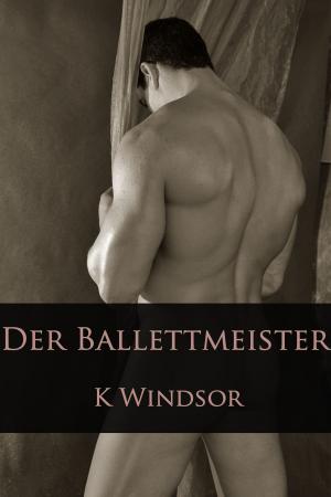 Cover of the book Der Ballettmeister by Caralyn Knight