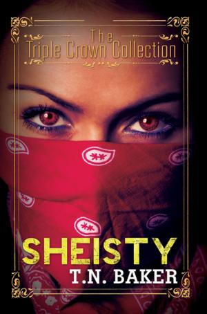 Cover of the book Sheisty by Sherryle Kiser Jackson