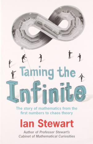 Cover of the book Taming the Infinite by David Meckin