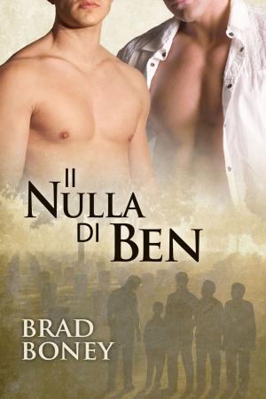 Book cover of Il nulla di Ben