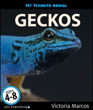 Book cover of My Favorite Animal: Geckos