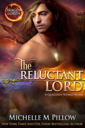 Cover of the book The Reluctant Lord by Johan Fournier