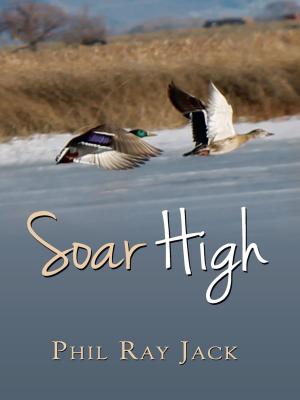 Cover of the book Soar High by Aaron Ozee